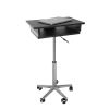 Techni Mobili Folding Table Laptop Cart, Graphite