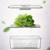 3pcs Covered Egg Dumpling Vegetable Fruit Preservation Box Household Kitchen Supplies Box